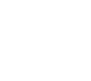 Black Eagle